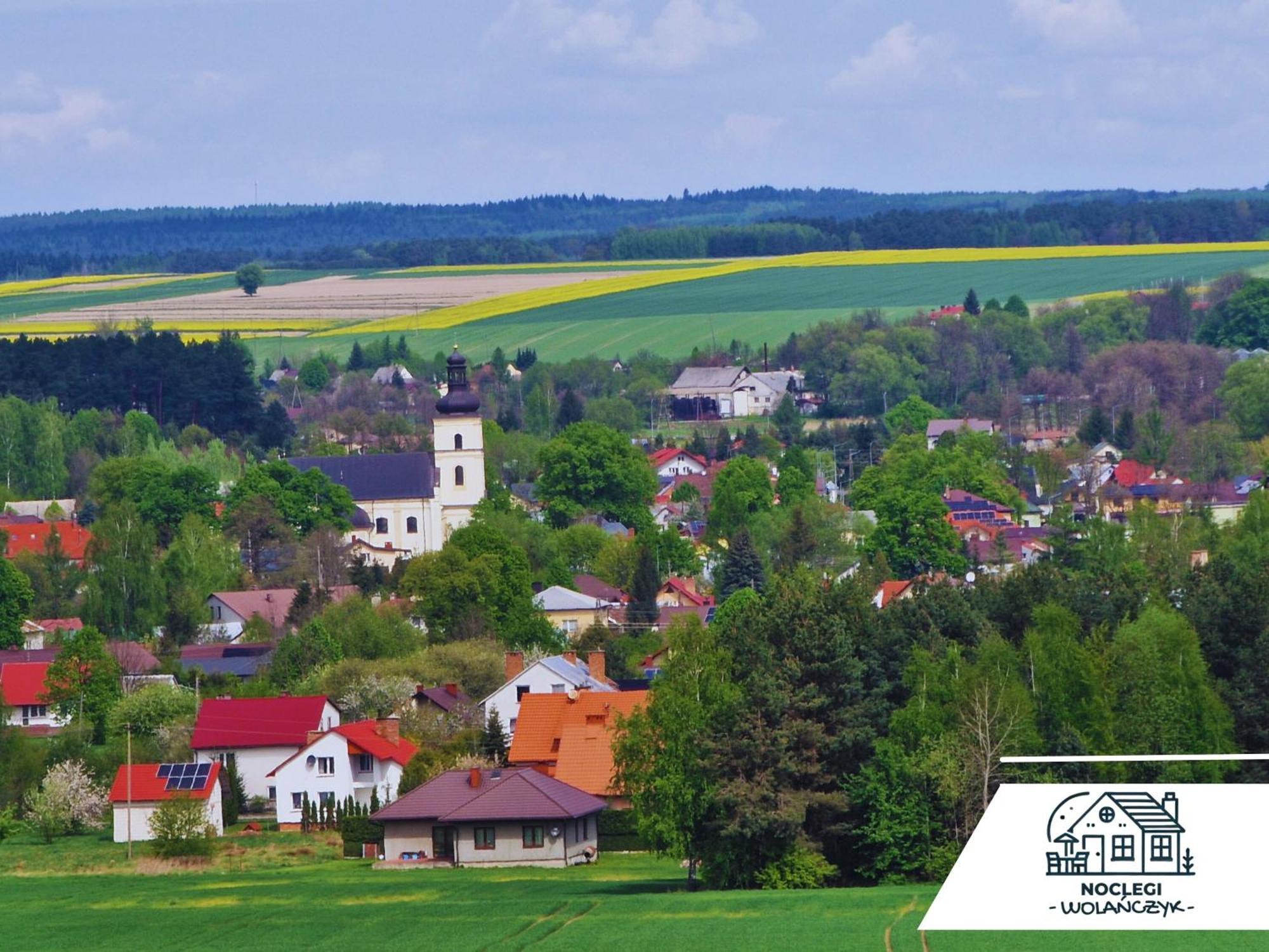 Wola Wielka - Domki Wygoda Nr2 Наріль Екстер'єр фото